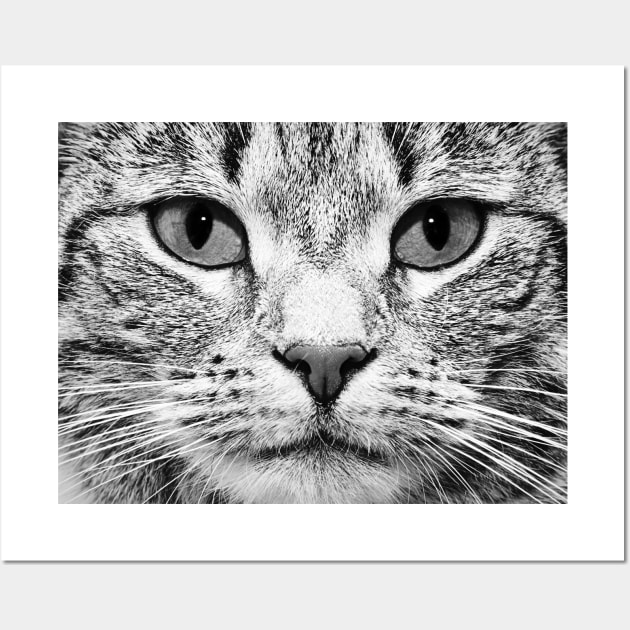 Black and white Cat Face Wall Art by Stay Studio